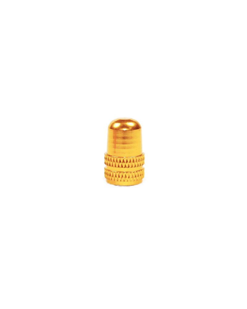 Alloy Schrader Valve Cap